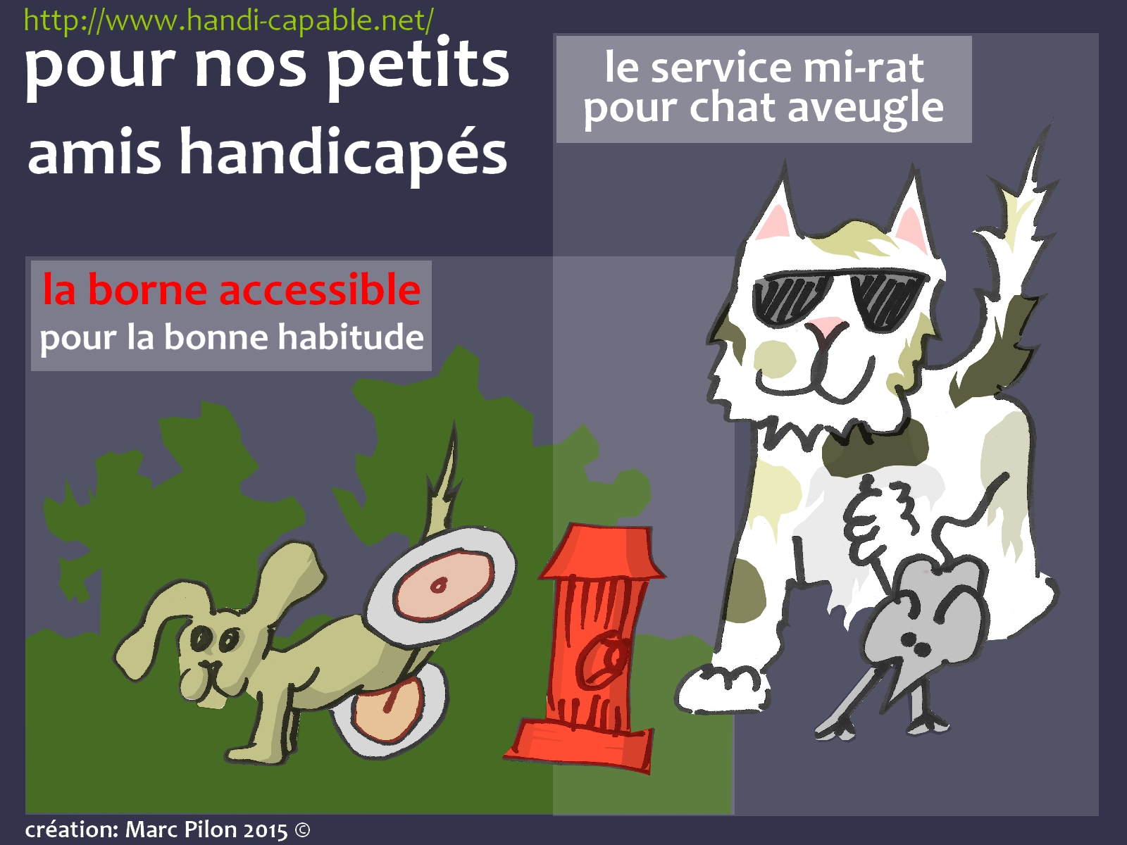 animaux hadicapés